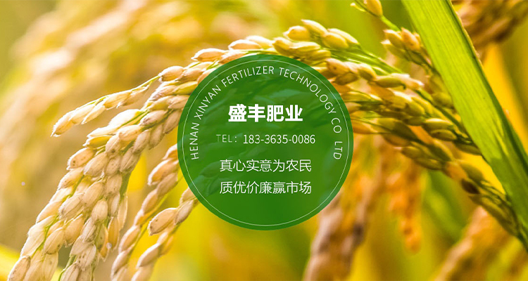 河南盛豐肥業(yè)科技有限公司【官網】